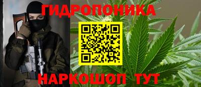хмурый Гай
