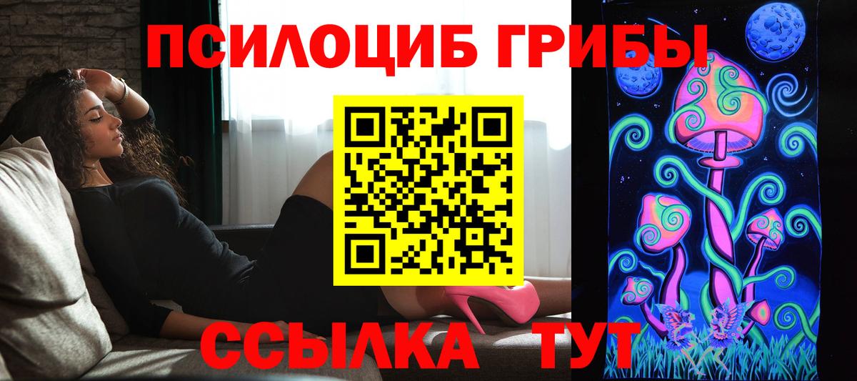 Псилоцибиновые грибы GOLDEN TEACHER  Вход с VPN  Галлюциногенные грибы прущие грибы  Нарткала 